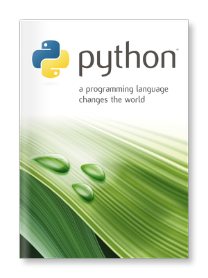 The Python Brochure Interims cover